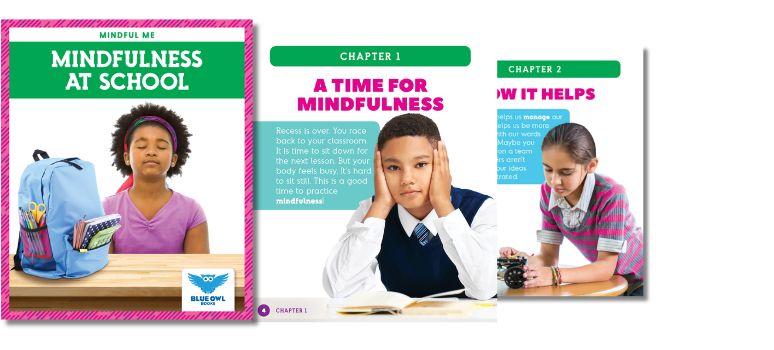 Children's picture book about importance of mindfulness at school