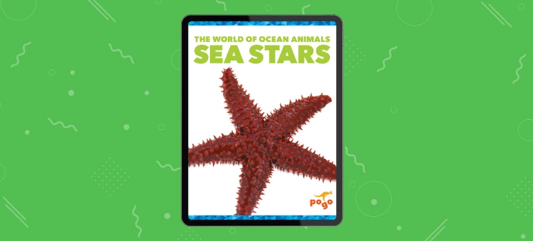 Sea Stars – Ocean Animal Facts for Young Readers Sea Stars nonfiction book for kids about marine life and ocean creatures